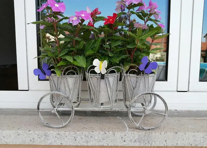 Il Melograno 招待所 3*